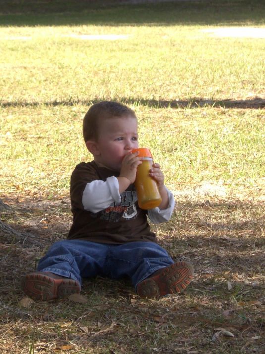 Fall Picnic 2010